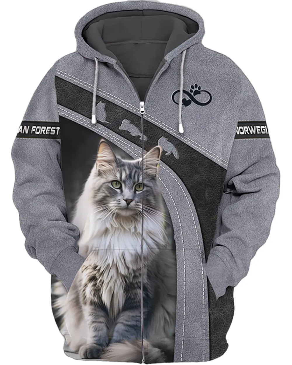 Norwegian Forest Cat - CHH090923