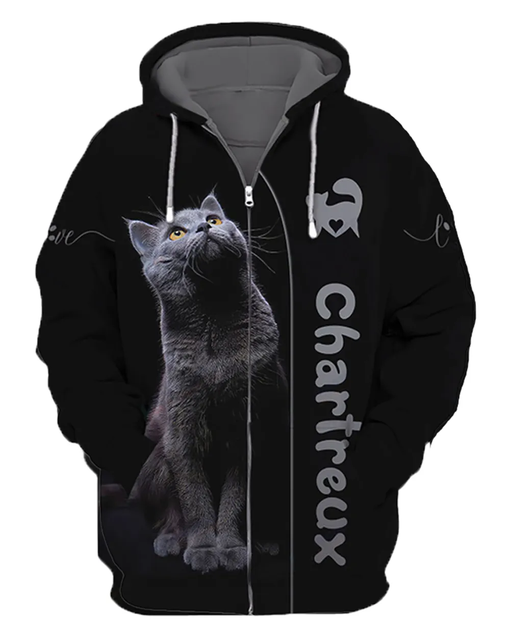 Chartreux Cat - CHH090919