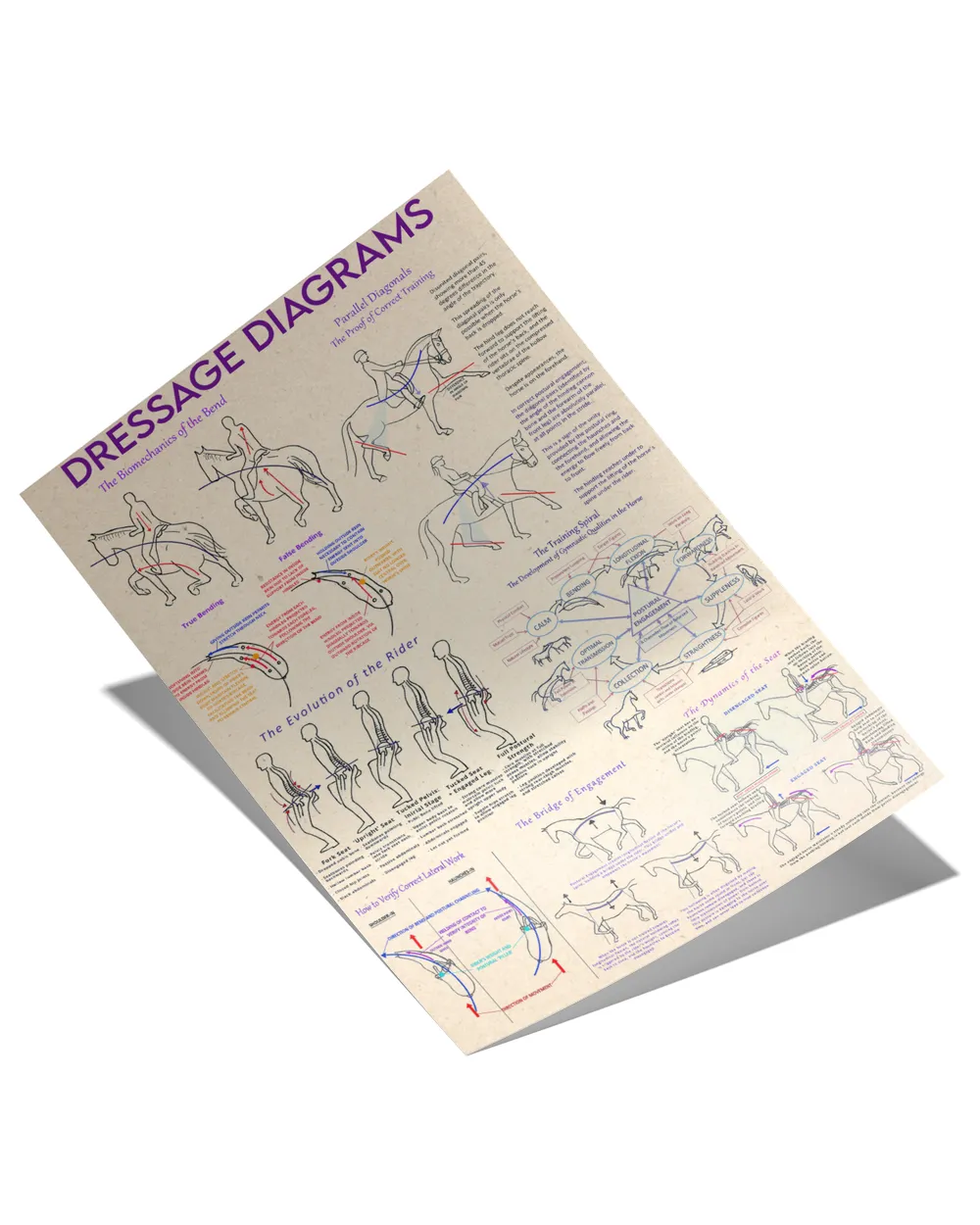 Dressage Diagrams Poster