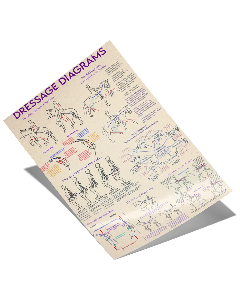 Dressage Diagrams Poster