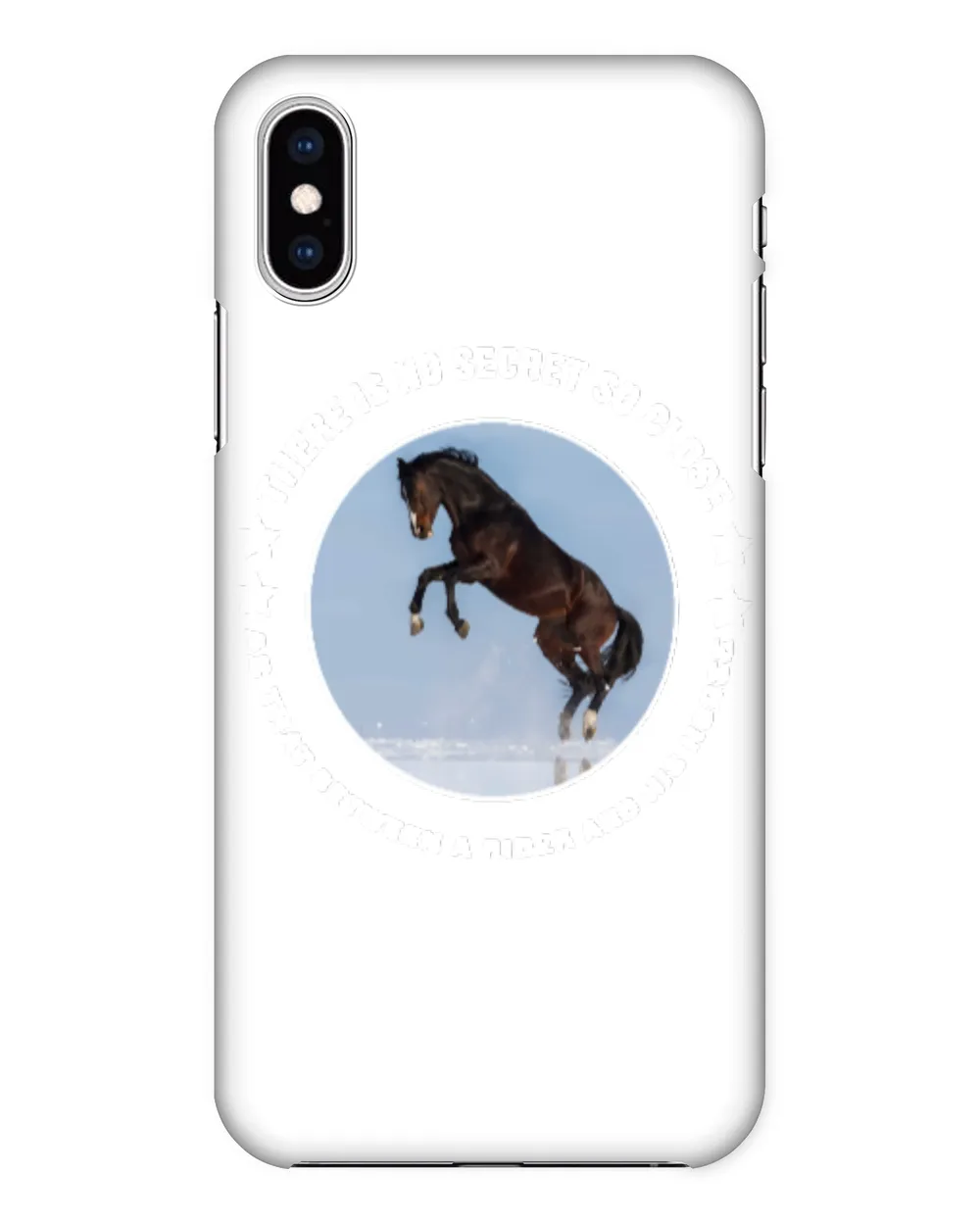 Horse Beautiful Horsehorseman cattle