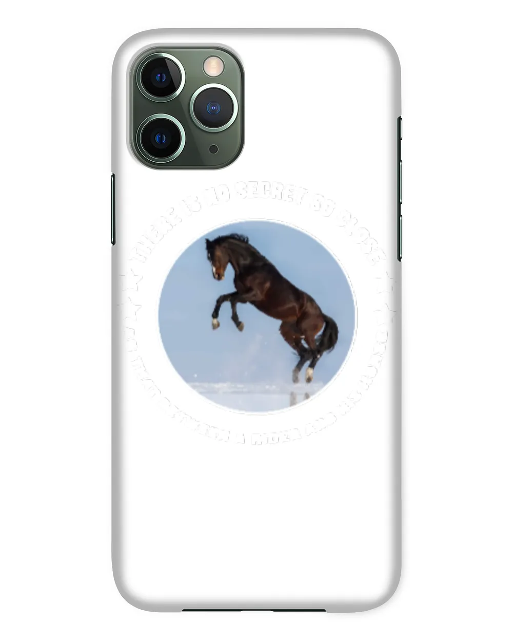 Horse Beautiful Horsehorseman cattle