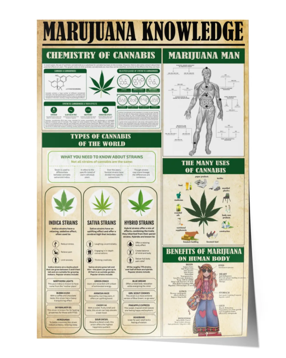Marijuana Knowledge Poster, Hippie Chemistry Poster