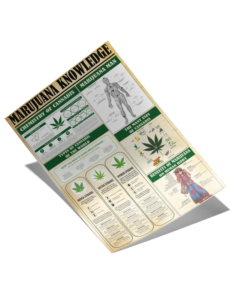 Marijuana Knowledge Poster, Hippie Chemistry Poster