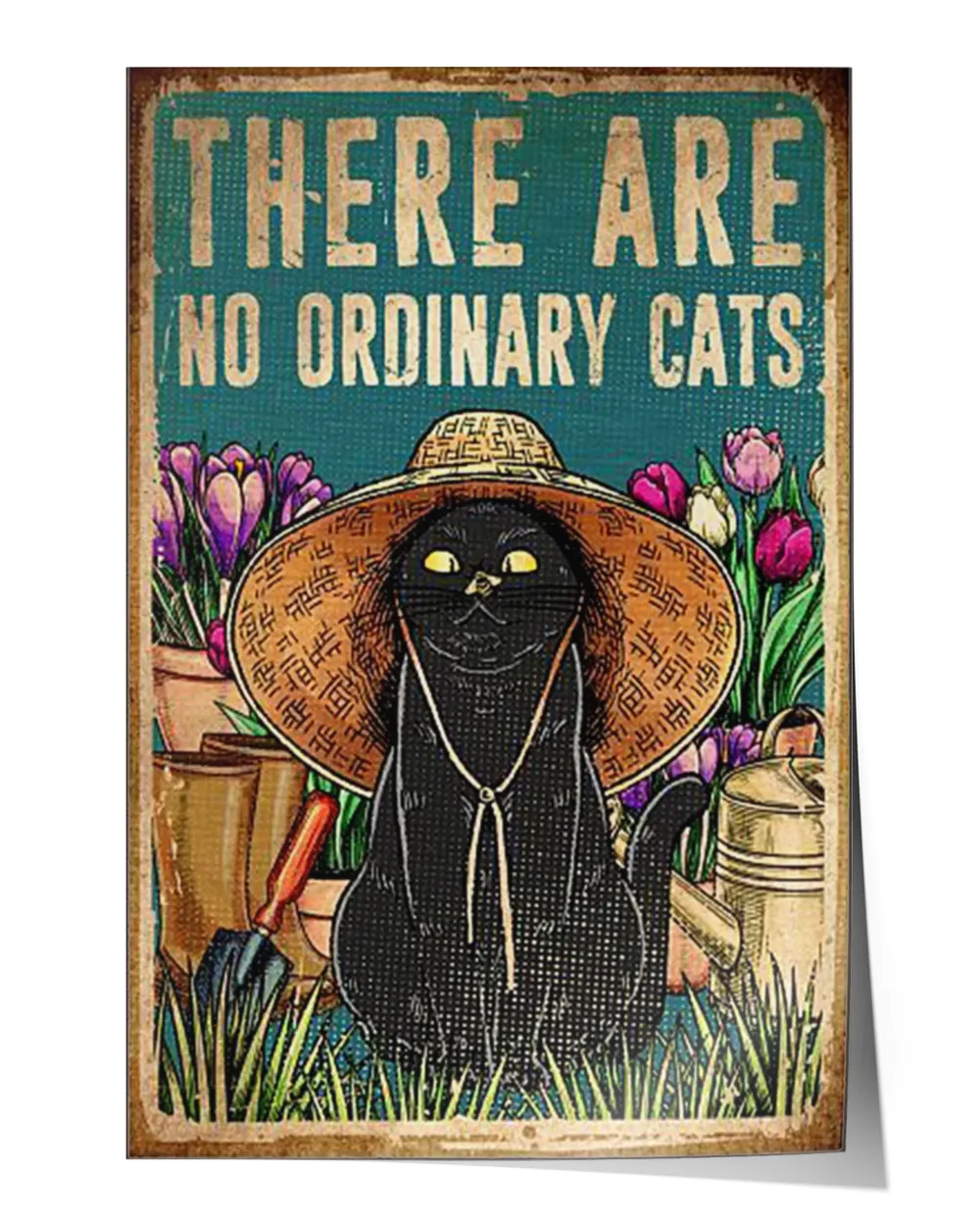 there are no ordinary cats