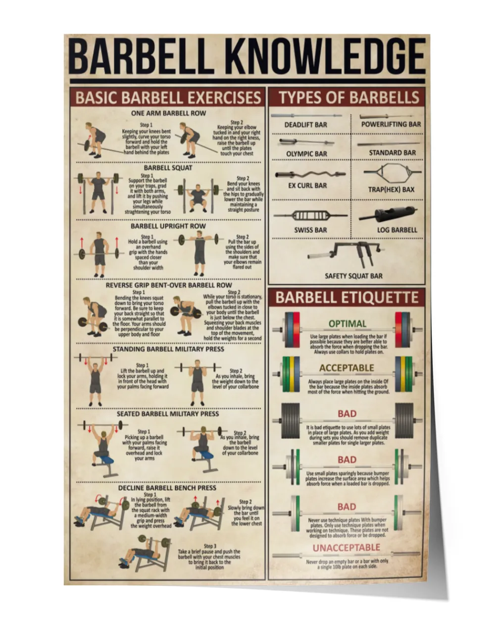 Barbell Knowledge Poster, Fitness Barbell Knowledge Poster, Dumbbell Workout