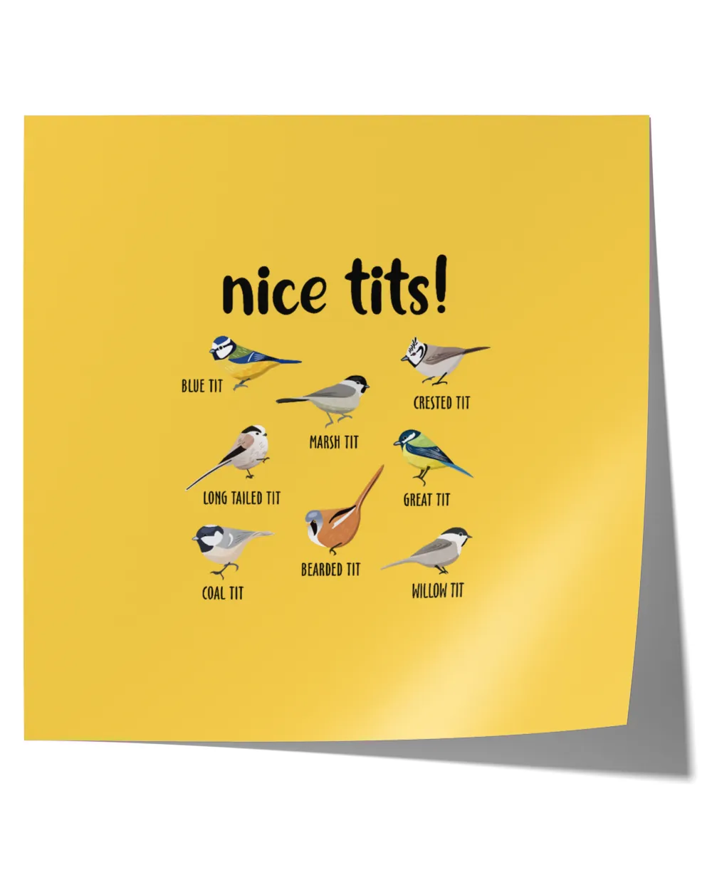 Nice Tits Bird Mug, Tumbler, T-shirt, Hoodie Gift For Bird Lovers