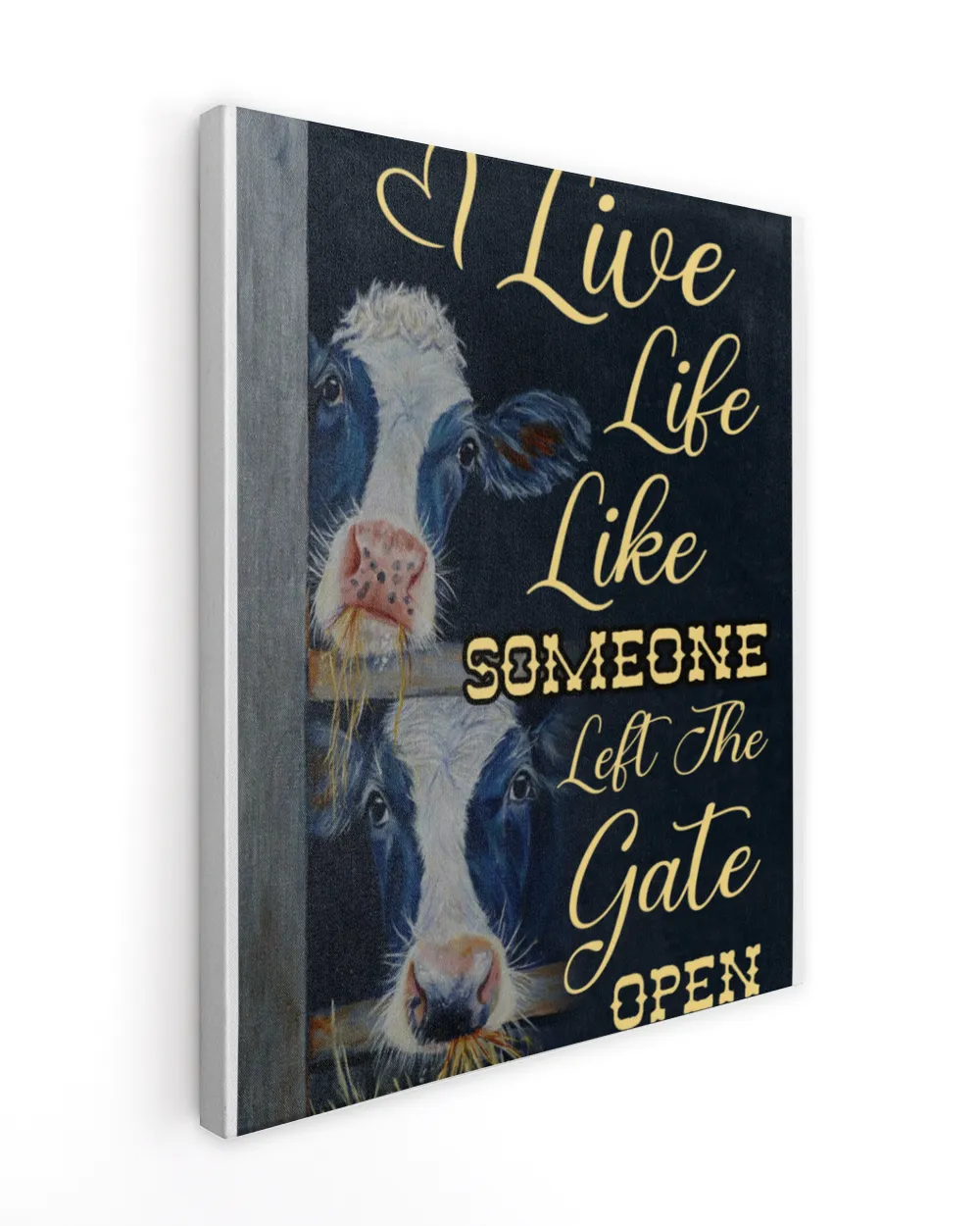 cow live life 1