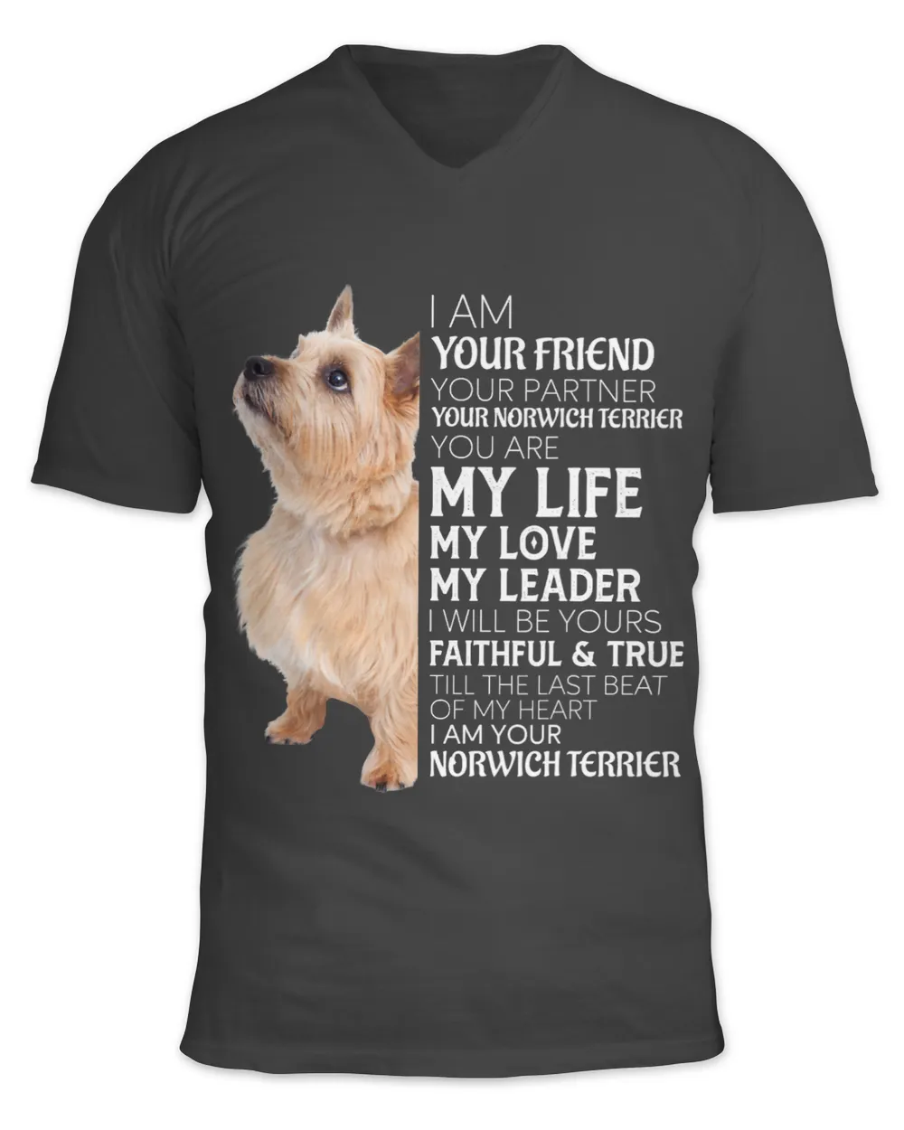 I Am Your Friend Your Partner Your Norwich Terrier Mom Dad