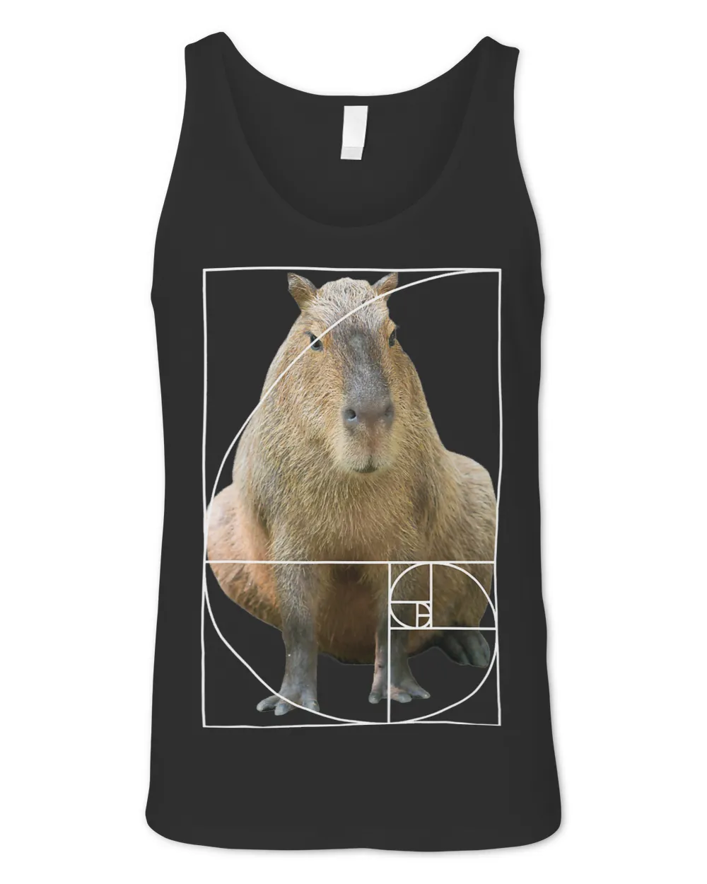 Golden Ratio Capybara Fibonacci Spiral Funny Math