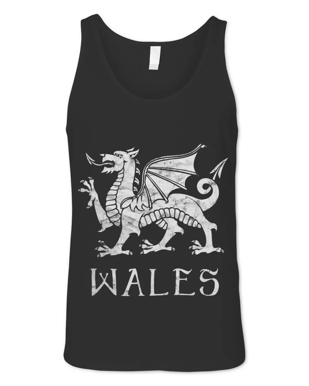 Dragon Animals Wale Rugby Wales Welsh Flag Red Dragon Cyrmu Gift