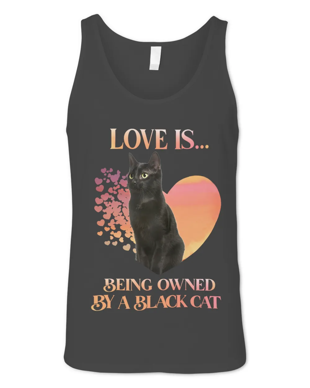 Cat Kitty Love Is Being Owned By A Black Cat Black Cat
