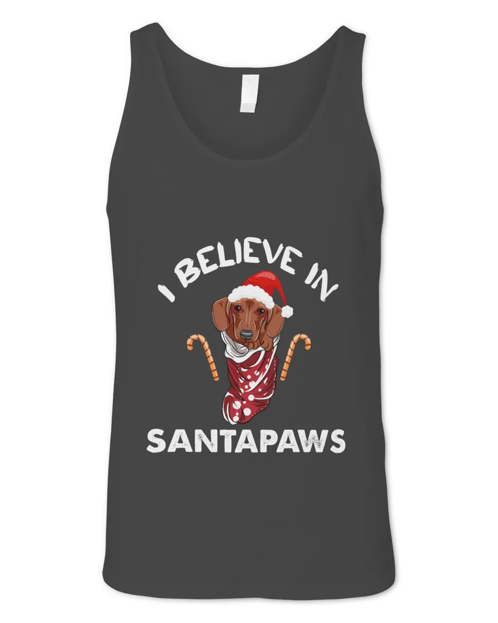 I Believe In Santa Paws Long Sleeved T-Shirt