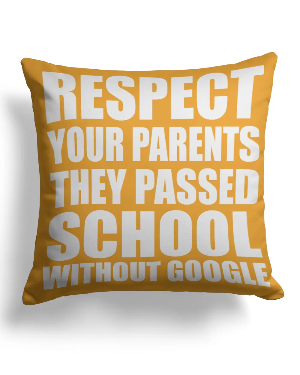 Respect Your Parents They Passed School Without T-Shirts, Hoodies, Sweatshirt, Mugs