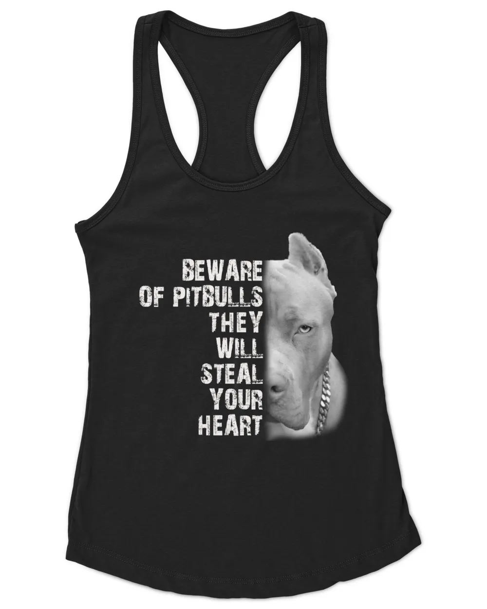 beware of pitbulls