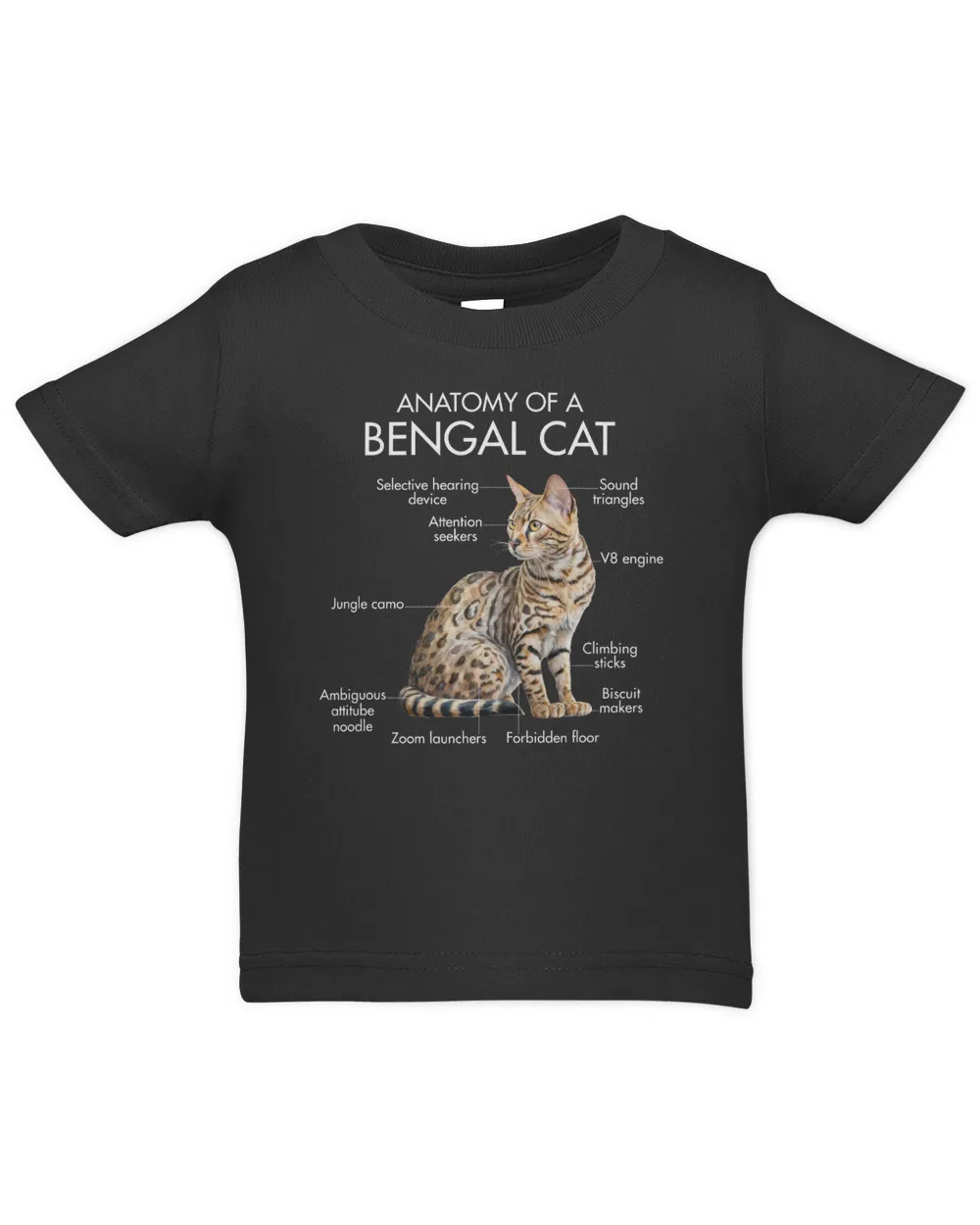 Anatomy Of A Bengal Cat