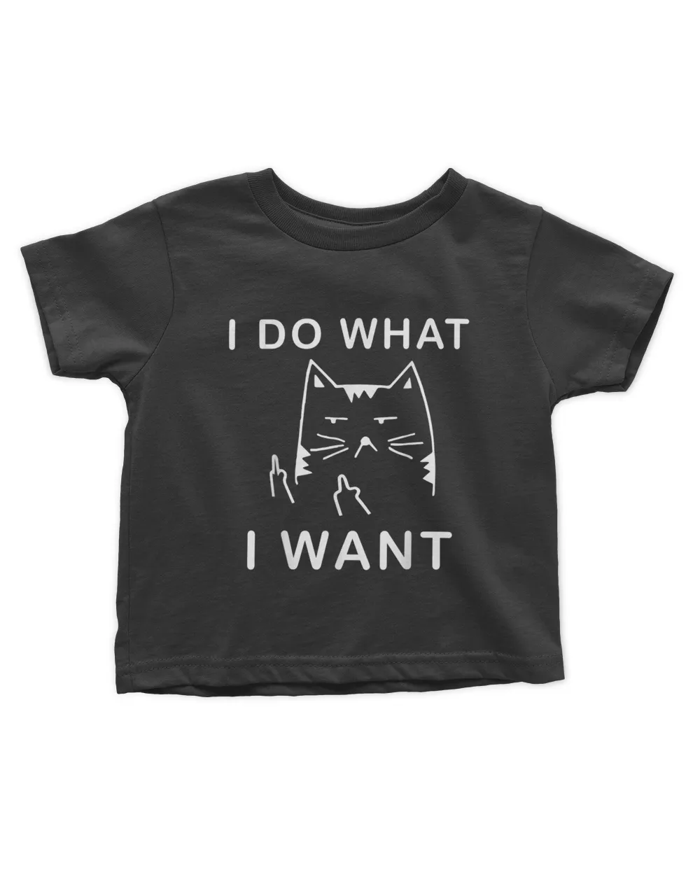 funny cat I do what I want with my cat funny gift QTCAT202211010019