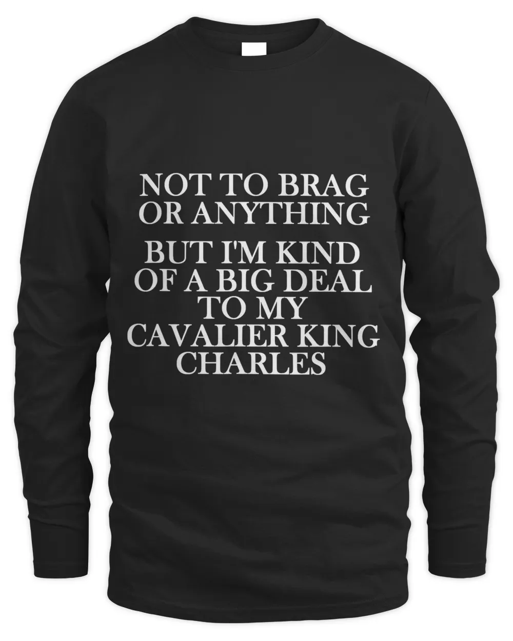 Cavalier King Charles Dog - Cavalier King Charles T-Shirt