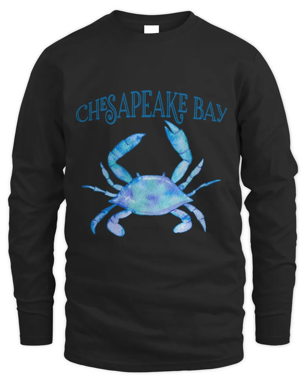 Beautiful Chesapeake Bay Blue Crab 2Chesapeake Bay