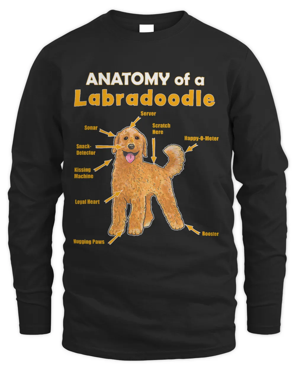 Funny anatomy of a labradoodle for him and her