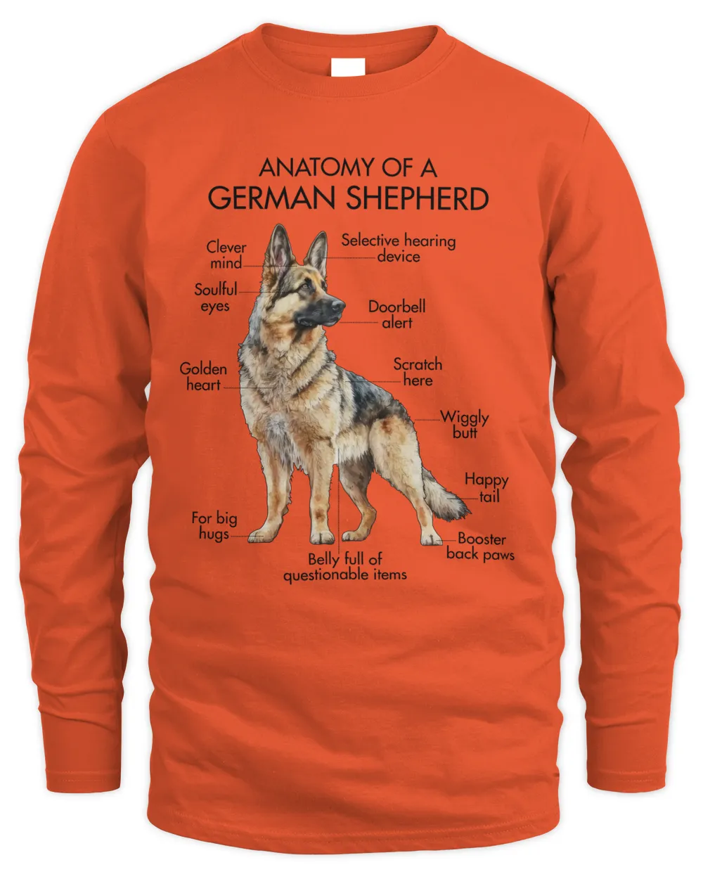 Anatomy Of A German Shepherd