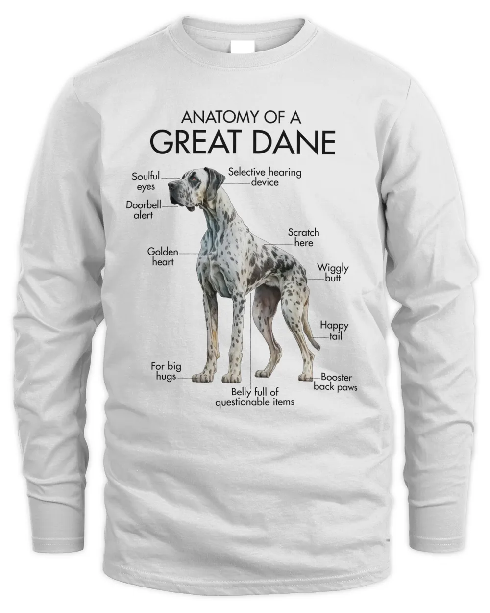 Anatomy Of A Great Dane