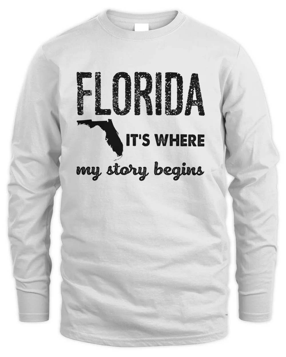 Florida It_s Where My Stoty Begins