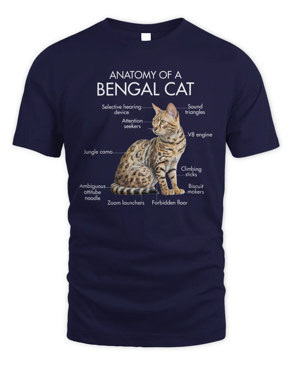 Anatomy Of A Bengal Cat