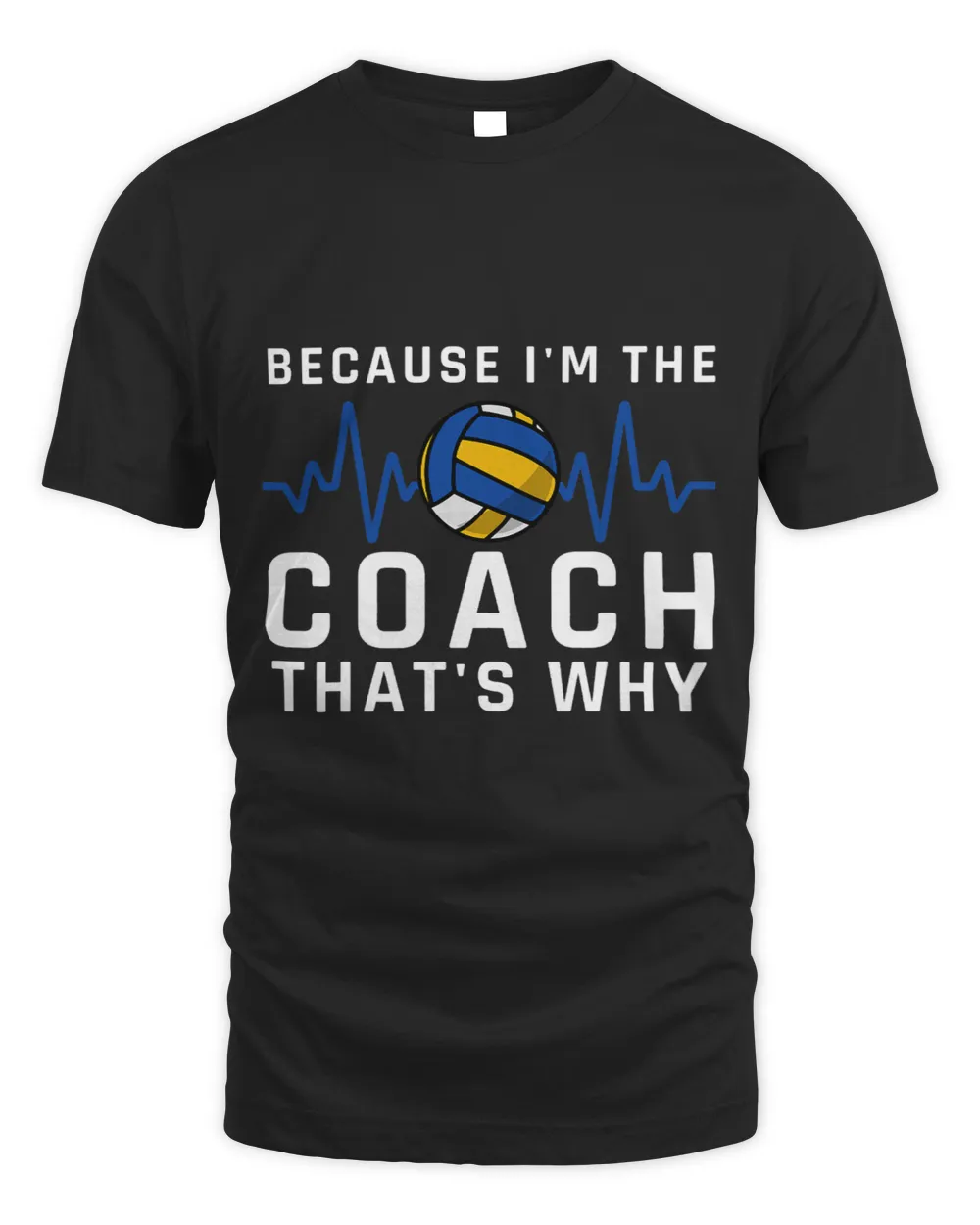 Because im the Coach thats why Volleyball1