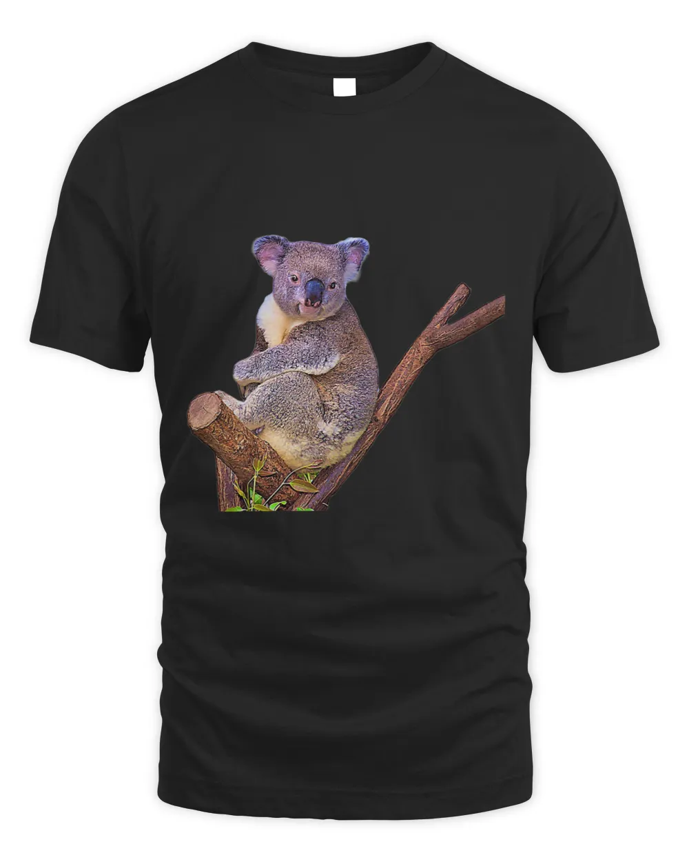 Australian Marsupial Under Paint Filter Koala Bear