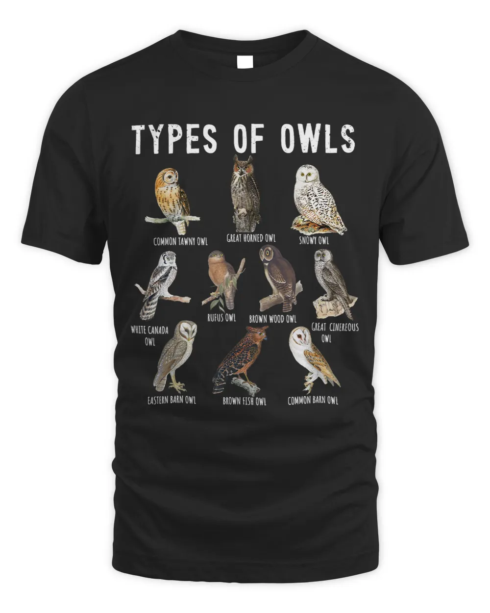 Owl Lover Types Of Owls Owls Of World Owl