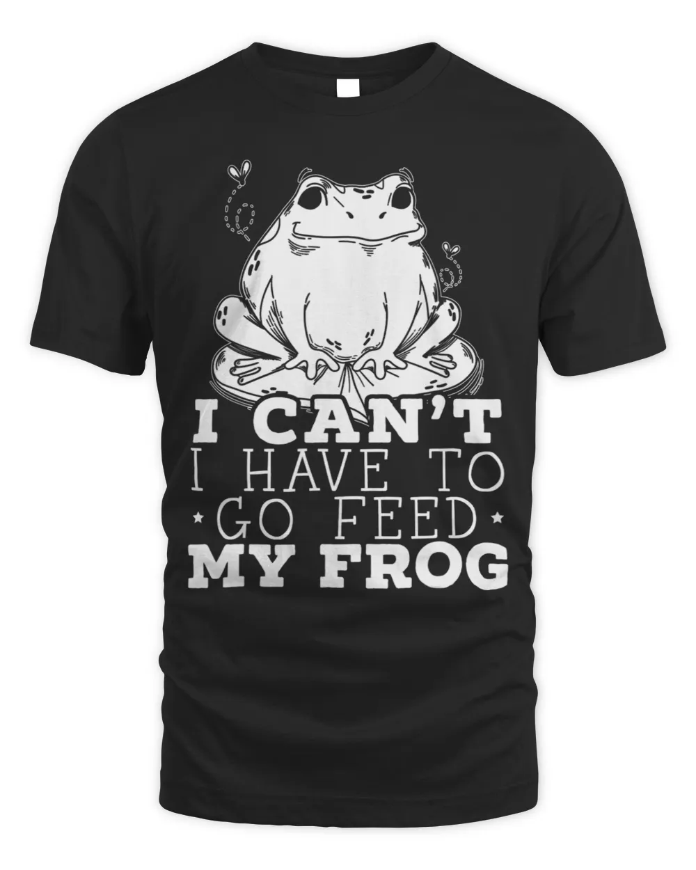 Frog Amphibian Toad 31
