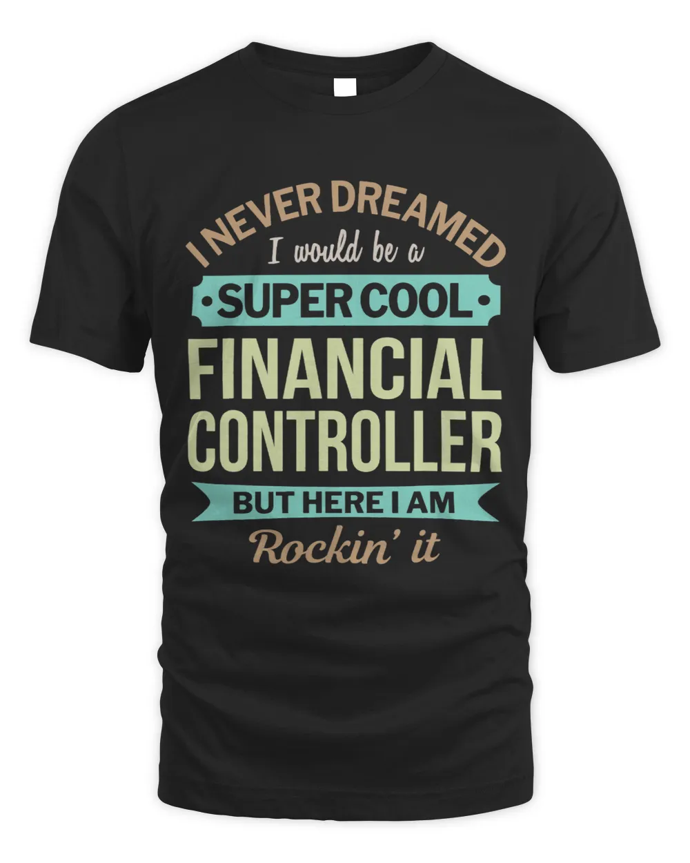 Financial Controller Gift Funny Appreciation