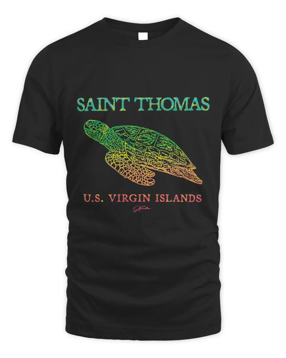 KV9 Turtle JCombs St. Thomas USVI Gliding
