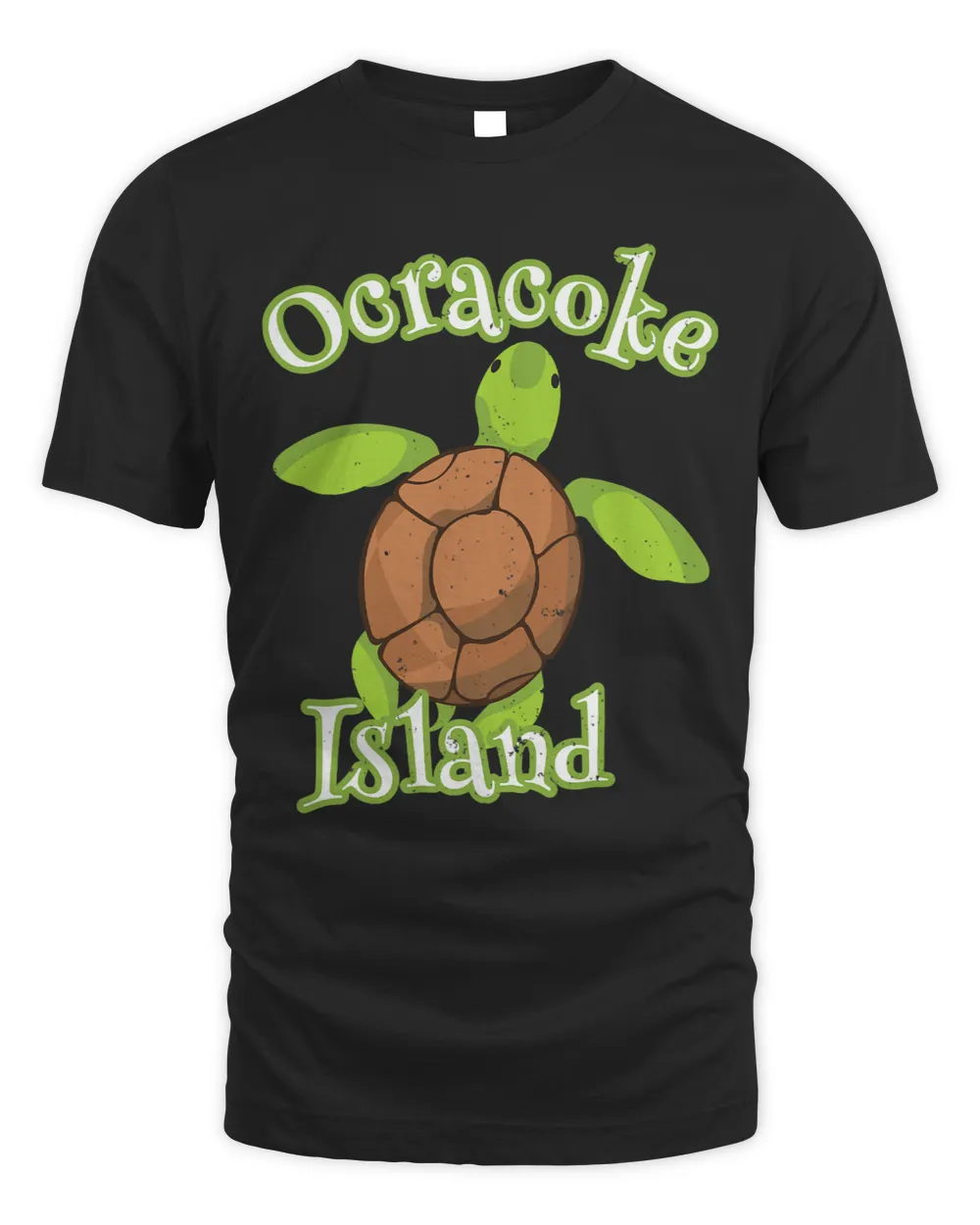 KV9 Turtle Ocracoke Island North Carolina Sea Turtle