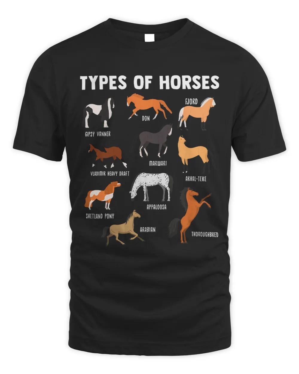 Horse Lover Types of Horses Horse