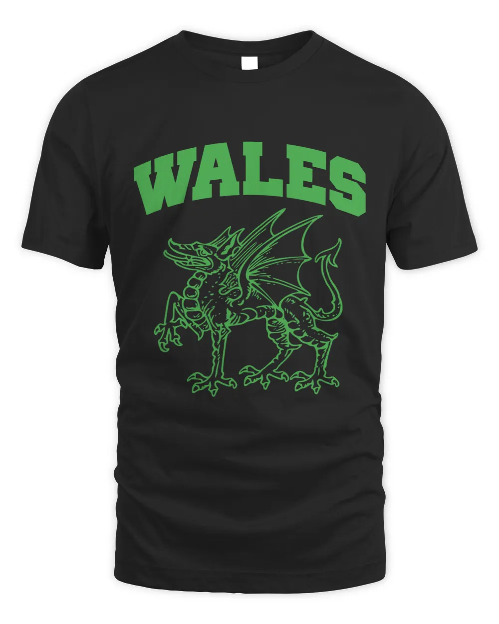 Dragon Animals Dragons of Wales Flag Welsh Cymru Flags Medieval Welsh