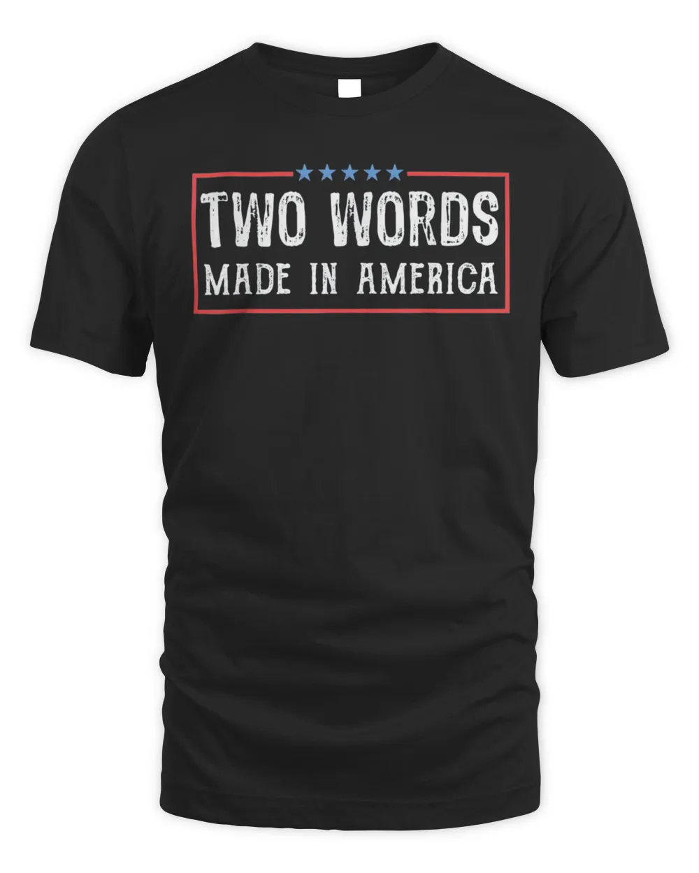 Two Words Made America Biden Quote Anti Biden Shirt