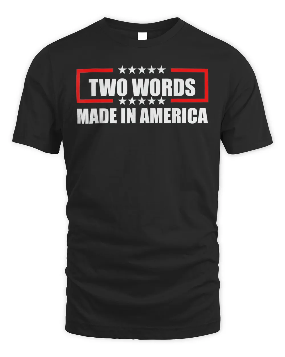 Anti Biden Two Words Made In America American Flag T-Shirt