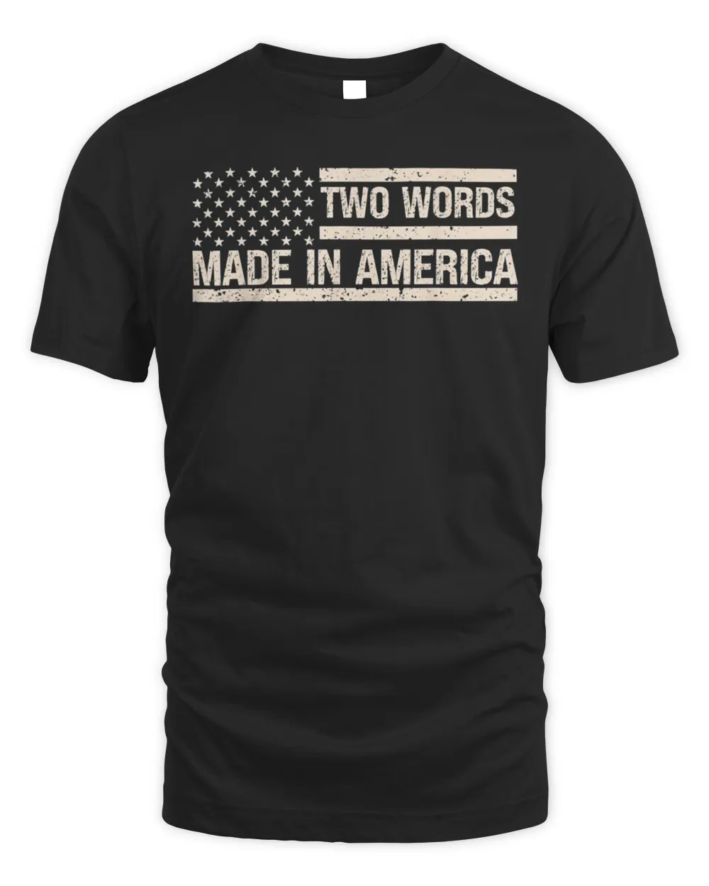 Anti Biden Two Words Made In America US Flag T-Shirt