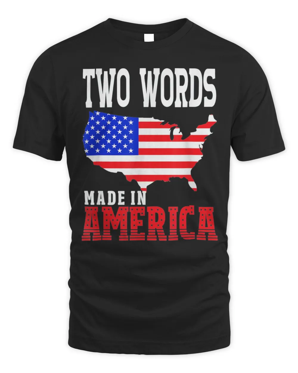 Two Words Made In America Anti Biden Quote T-Shirt
