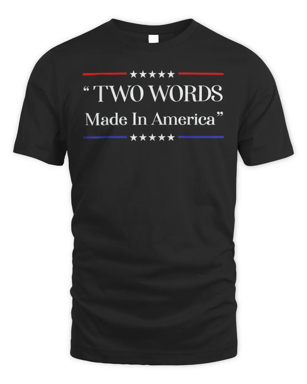 Two Words Made In America Anti Joe Biden T-Shirt