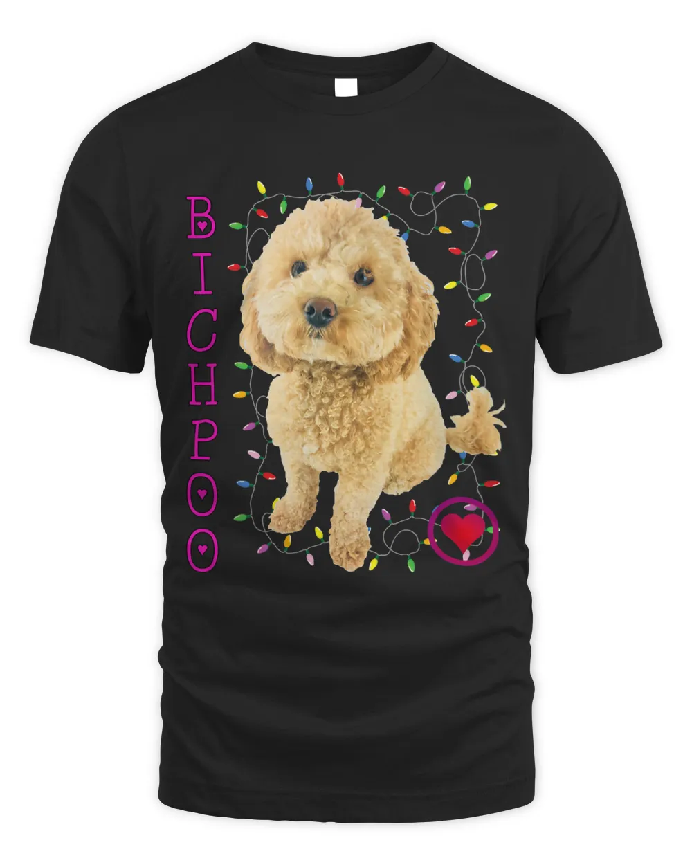 Bichpoo Puppy Dog Poodle cross Noodle Super cute Boodle 266