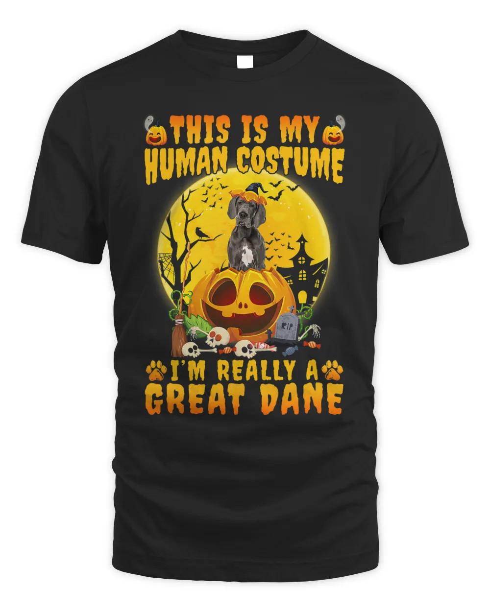Funny Great Dane Witch Halloween Costume Pumpkin Dog Lover