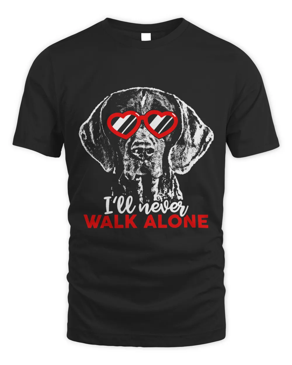 I will never walk alone Shorthaired Pointer owners