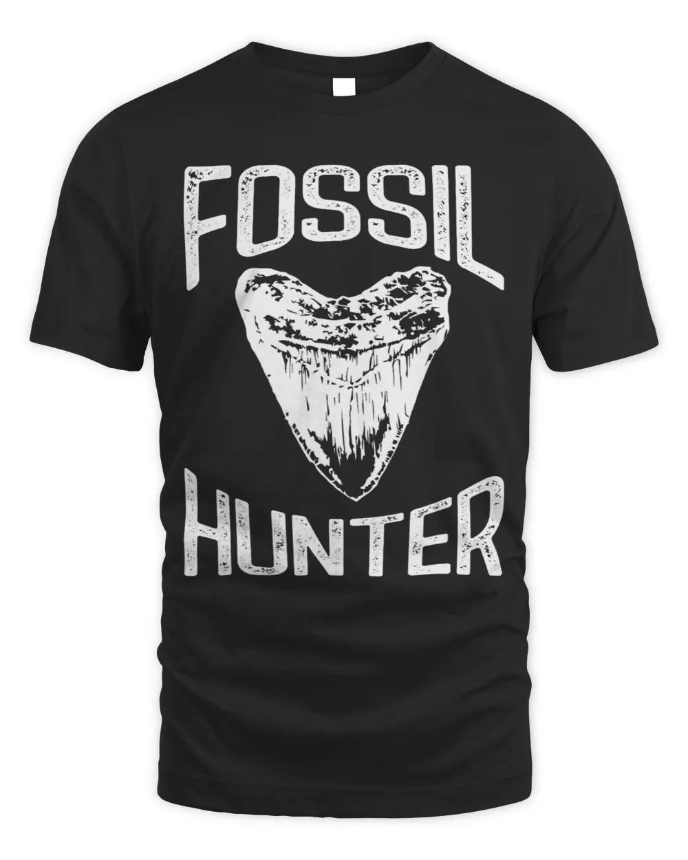 Megalodon Tooth Shark Fossil Hunter Paleontologist Dinosaur