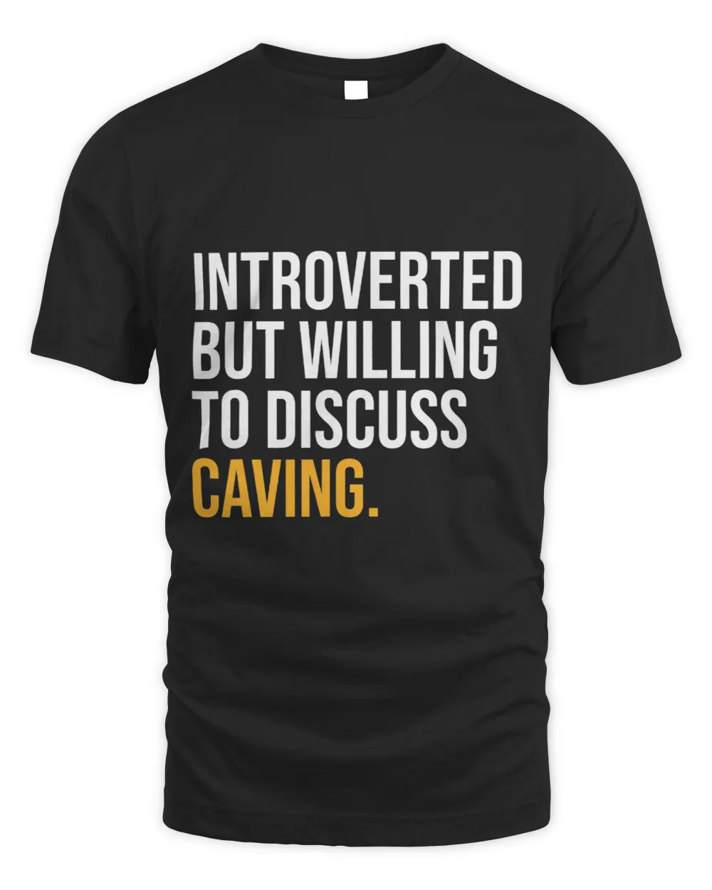 INTROVERTED BUT WILLING TO DISCUSS CAVING FUNNY Unisex Standard T-Shirt black s