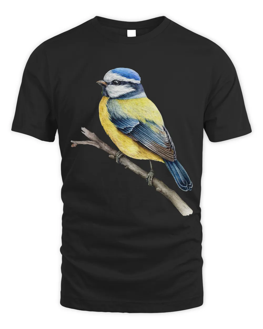 Eurasian Blue Tit Bird Outdoors Birding