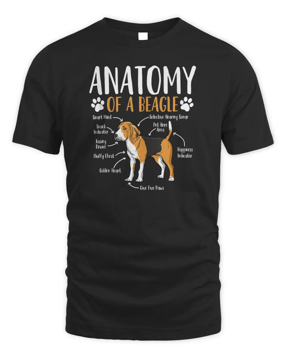 anatomy of a beagle