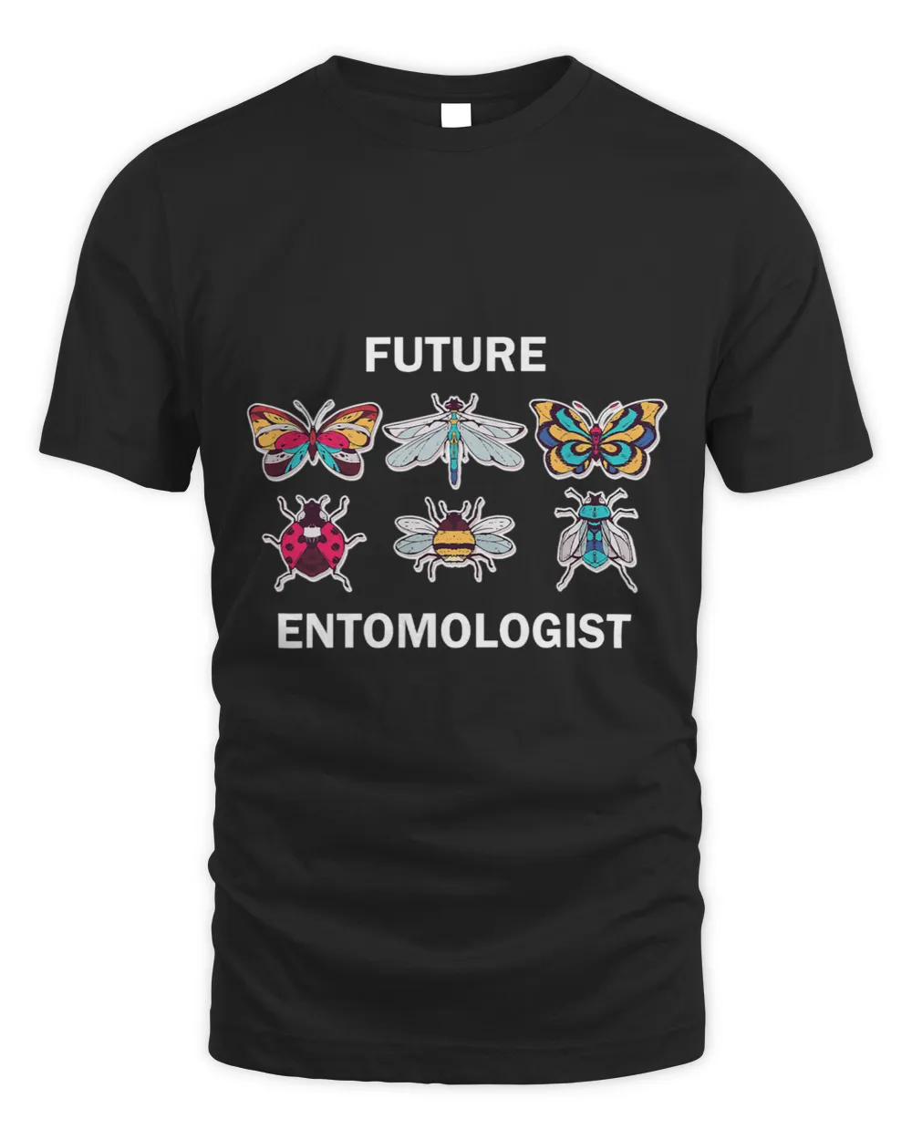 Future Entomologist Insect Chart Bugs Insect Bug Collection